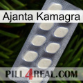 Ajanta Kamagra 08